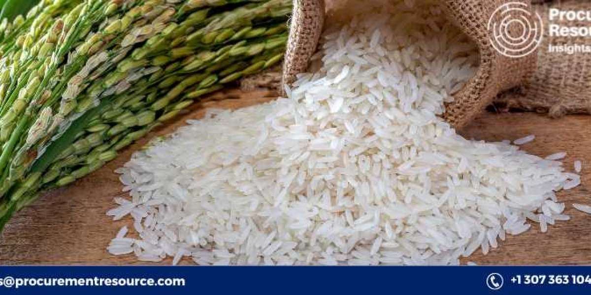 Rice Production Process with Cost Analysis: An In-Depth Overview