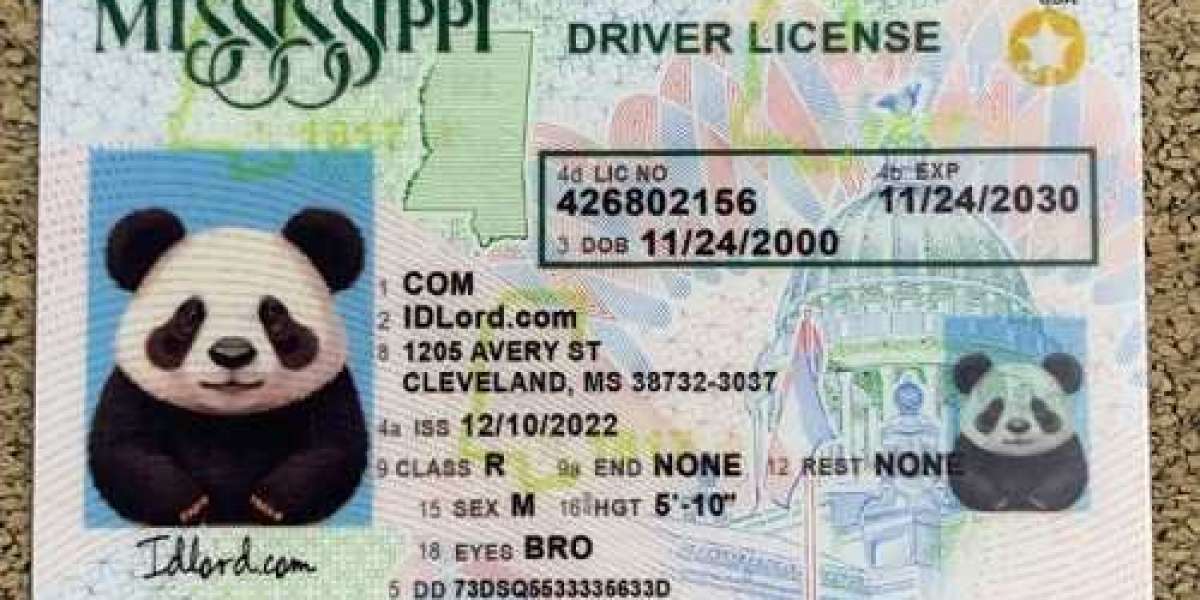 Discover the Best Fake ID Canada: Why IDLORD is Your Top Choice