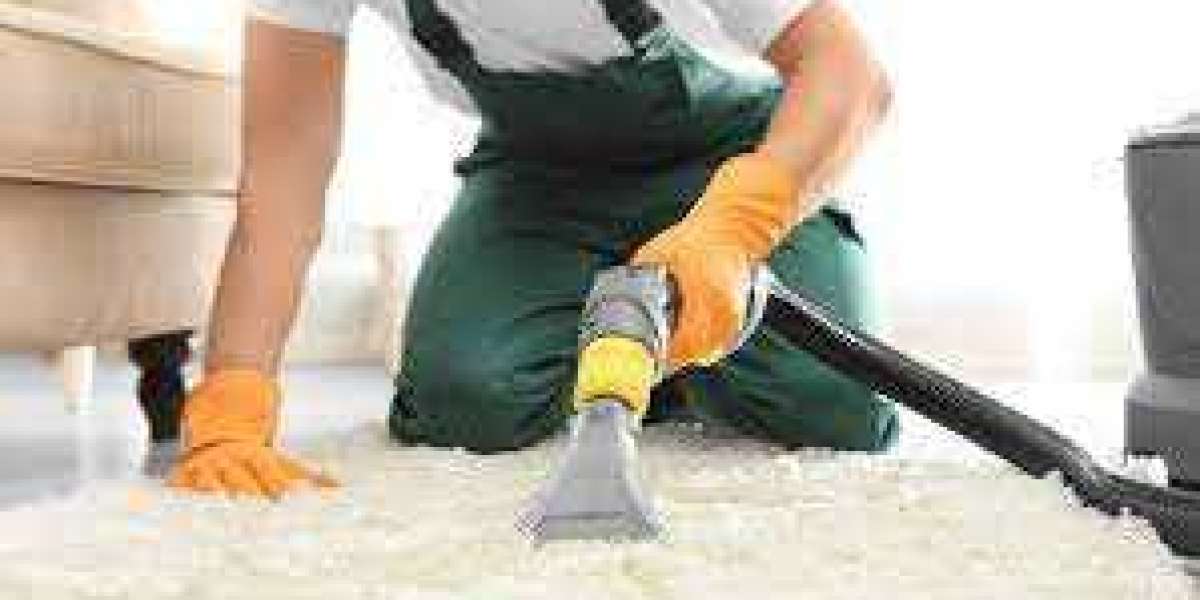 Elevate Your Home’s Cleanliness with Professional Carpet Cleaning Solutions