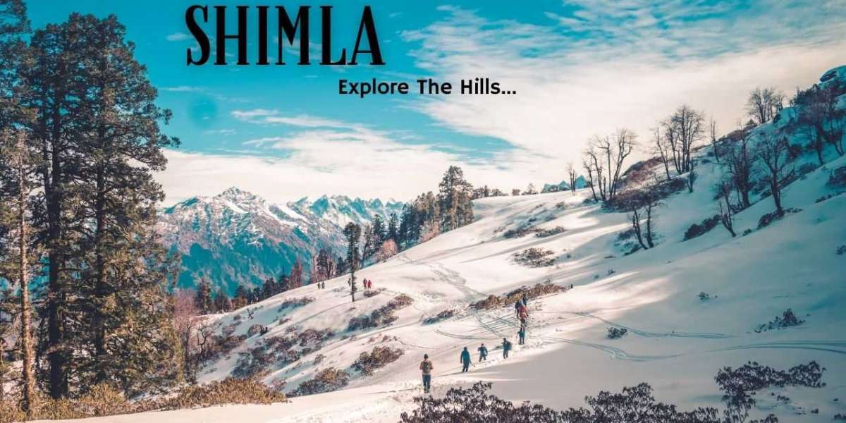 Exploring the Enchanting Beauty of Shimla and Manali