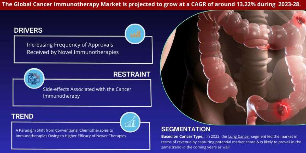 Global Cancer Immunotherapy Market Forecast: Revenue Trends and Growth Projections for period from 2023 to 2028.