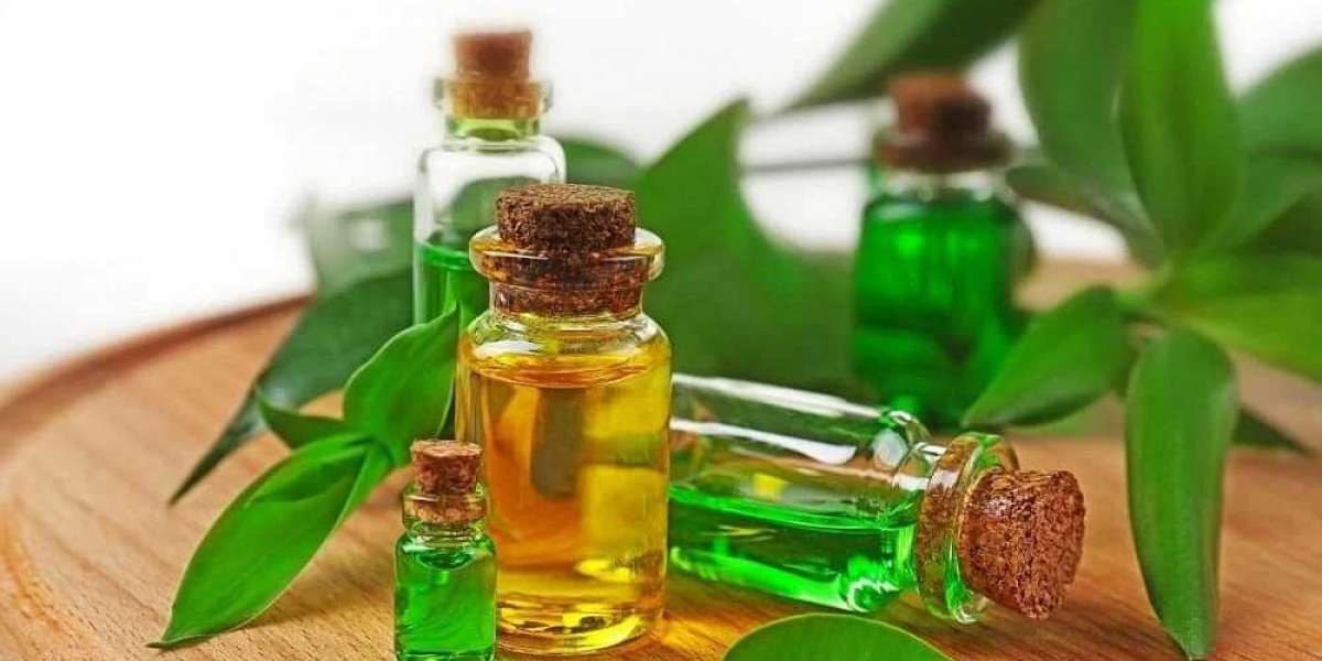 Tea Tree Oil: A Natural Remedy for a Dry Scalp