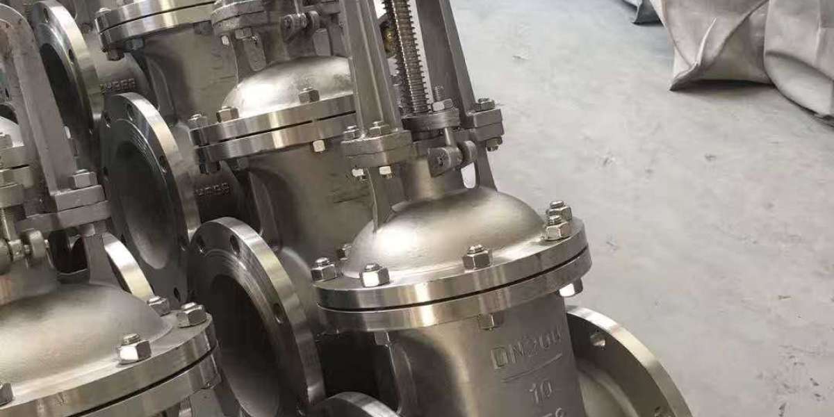 Stainless Steel Gate Valve Manufacturer in Germany