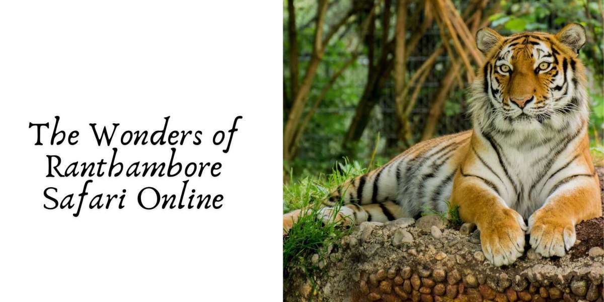 The Wonders of Ranthambore Safari Online