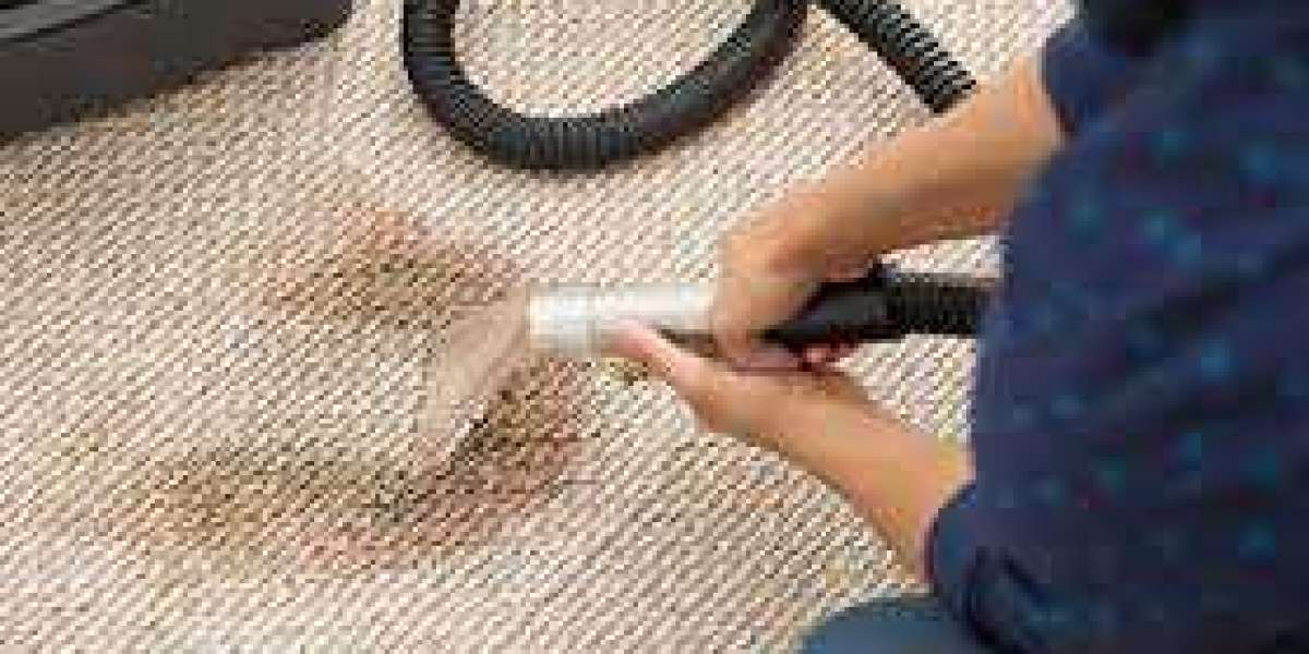 How Professional Carpet Cleaning Elevates Home Maintenance