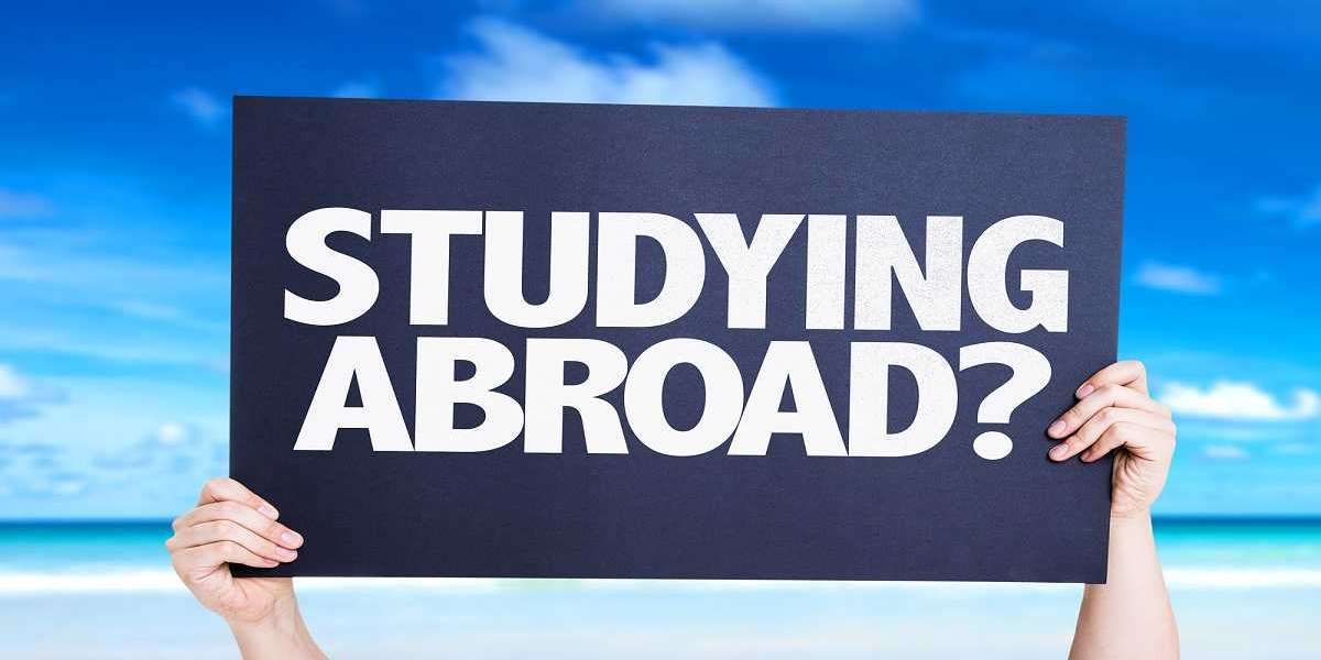 Growing Demand of Best Consultant For Study Abroad in Lahore in 2025