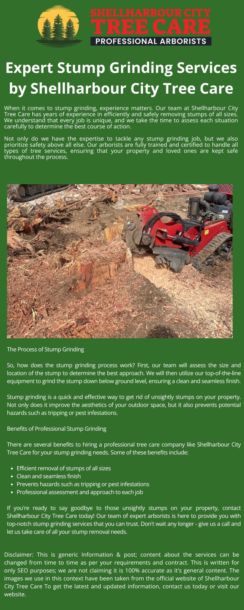 Expert-Stump-Grinding-Services-by-Shellharbour-City-Tree-Care