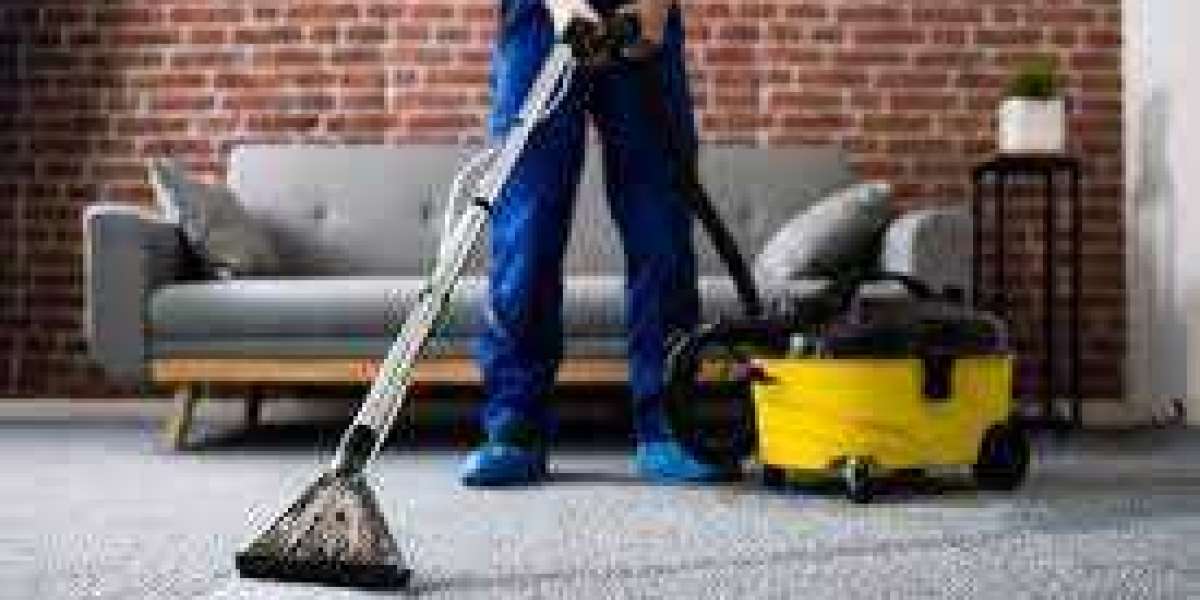 Carpet Cleaning: The Path to a More Comfortable Home