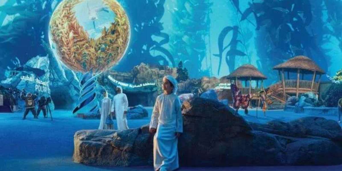 Top Attractions and Experiences at SeaWorld Abu Dhabi