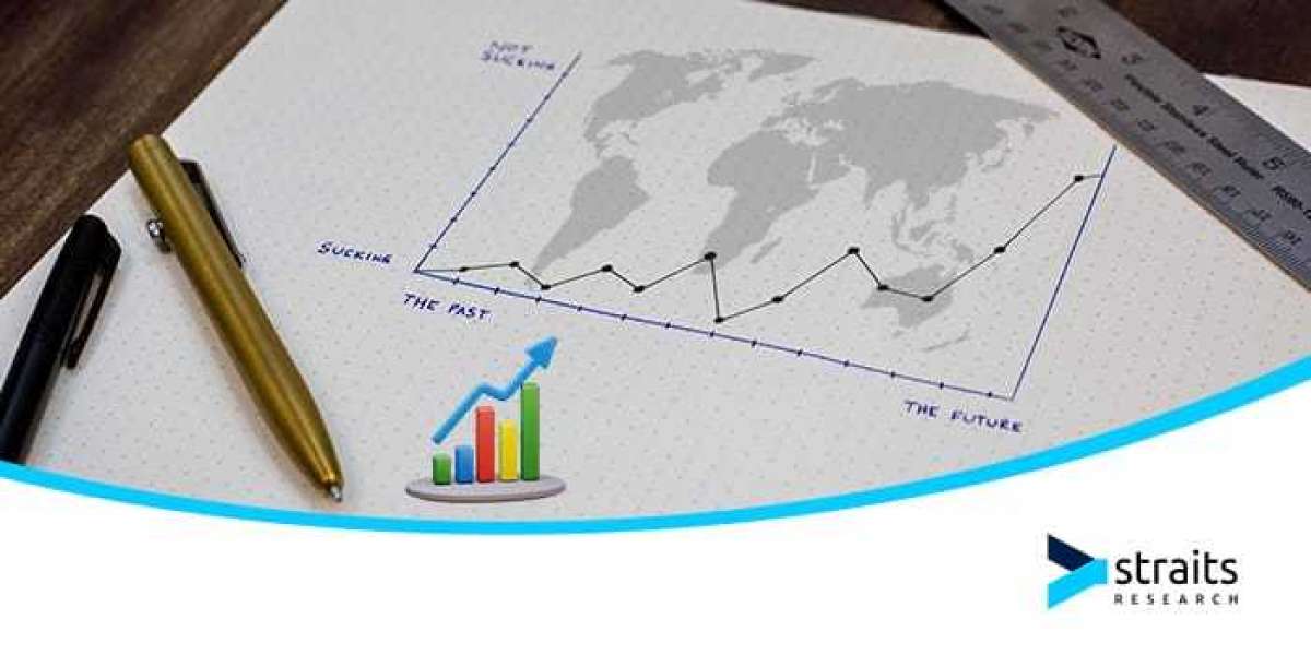 Tennis Racquet Market Landscape: Mapping Key Players and Market Segments