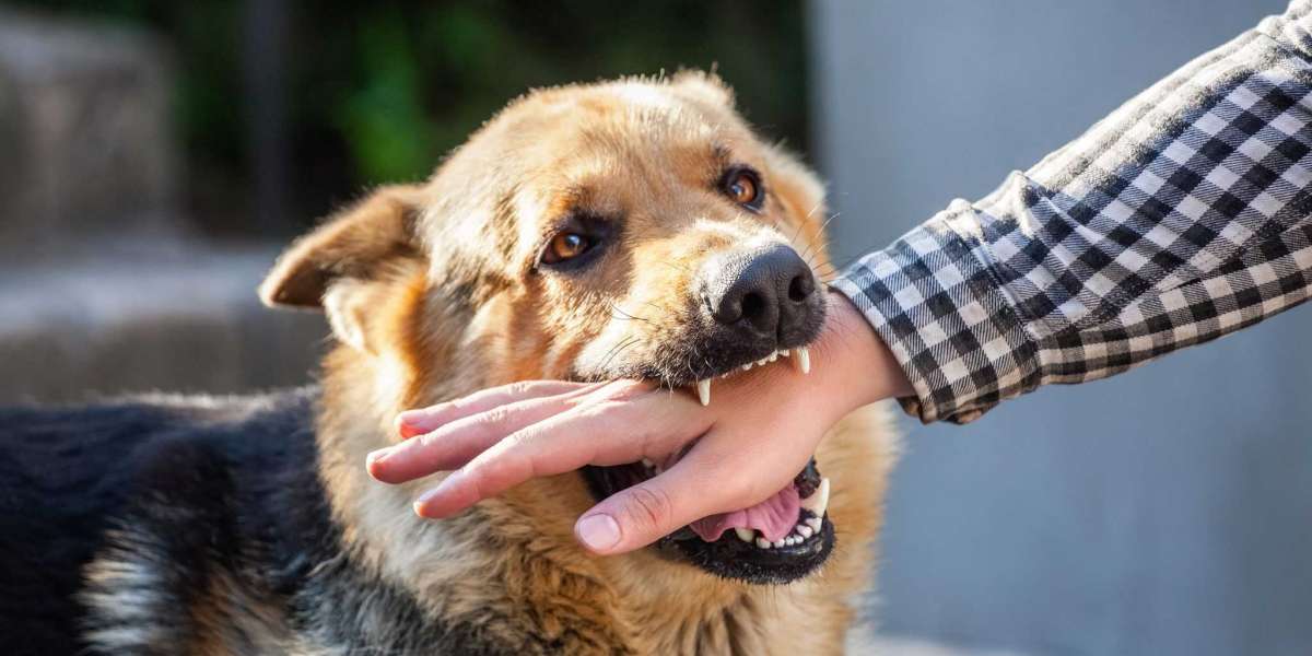 Package Carrier Dog Bite Prevention | A Comprehensive Guide