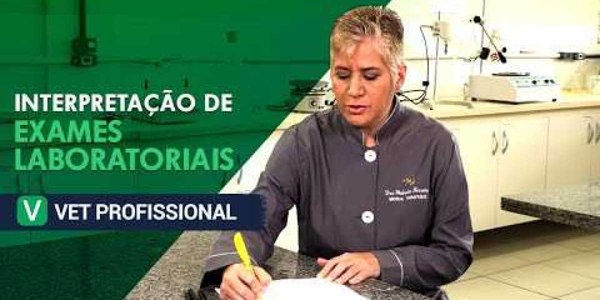 O Papel do TSH na Saúde dos Cães: O Que Você Precisa Saber