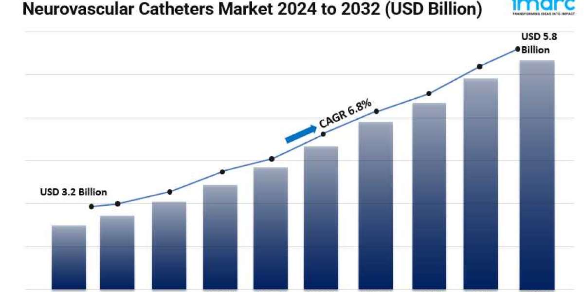 Neurovascular Catheters Market 2024: Size, Industry Overview, Future Scope and Business Opportunities by 2032